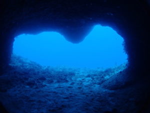 伊江島 ファンダイビング