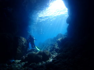 青の洞窟 ファンダイビング