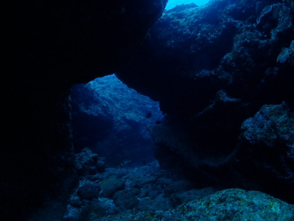 恩納村 ファンダイビング