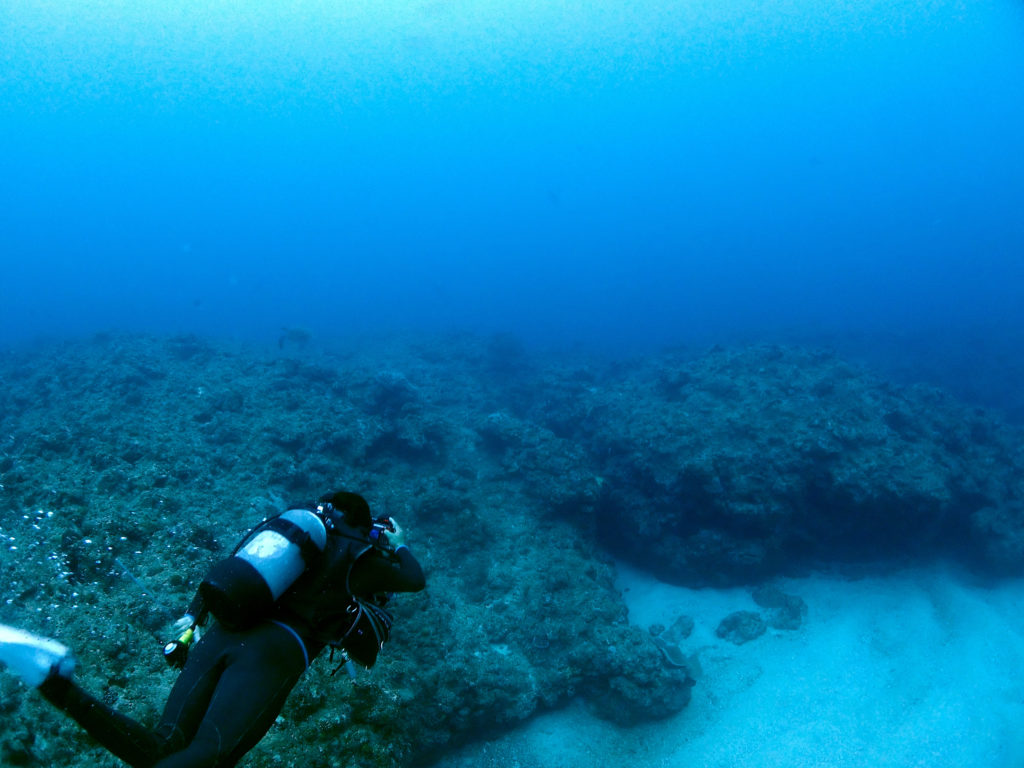 真栄田岬 ファンダイビング