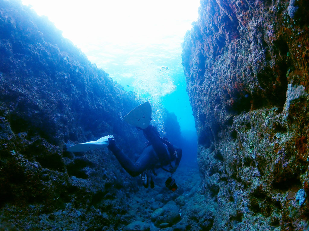 真栄田岬 ポイント調査
