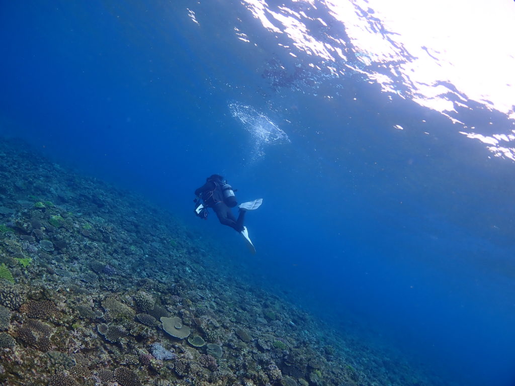 真栄田ビーチ アウトリーフ