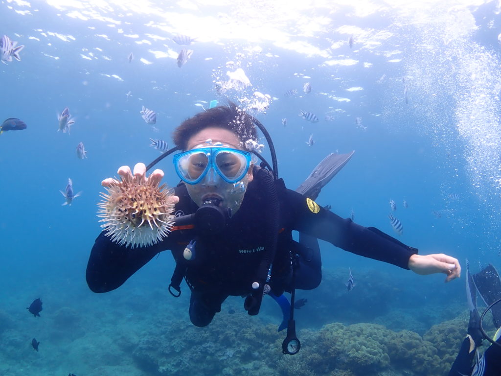 砂辺　ファンダイビング