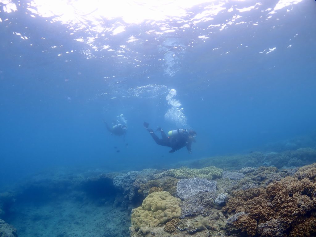 砂辺　ファンダイビング