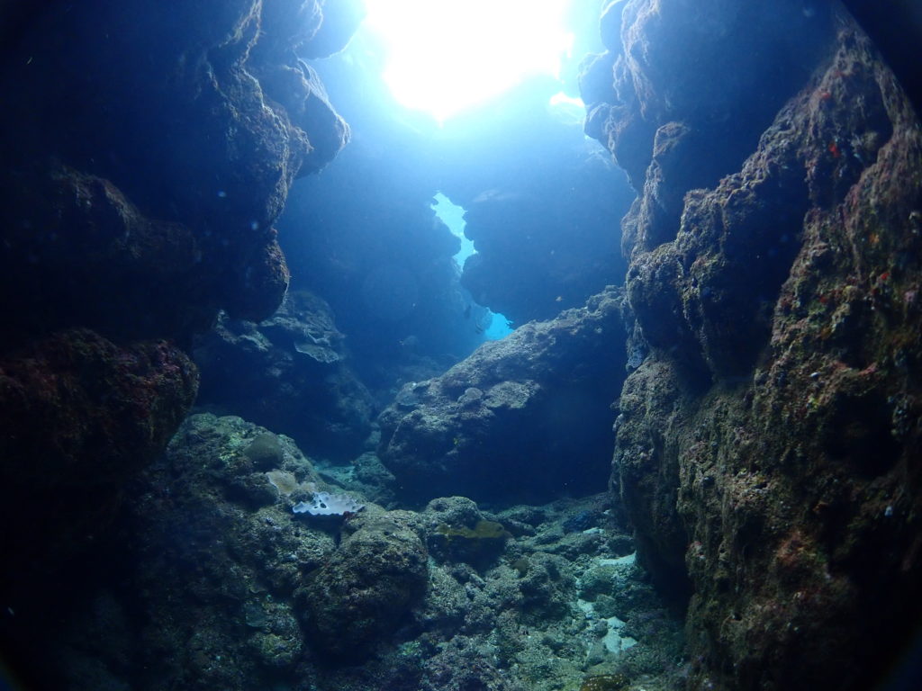 砂辺　クレパス