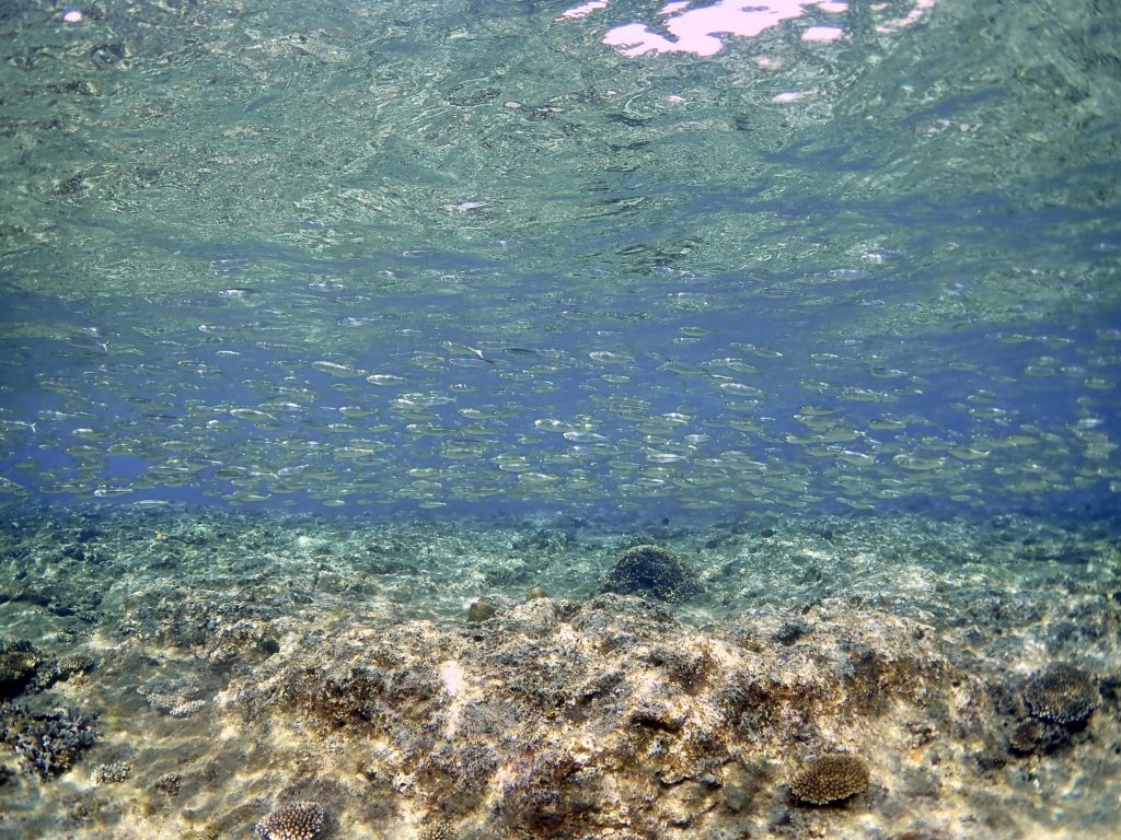 恩納ポイント　恩納村