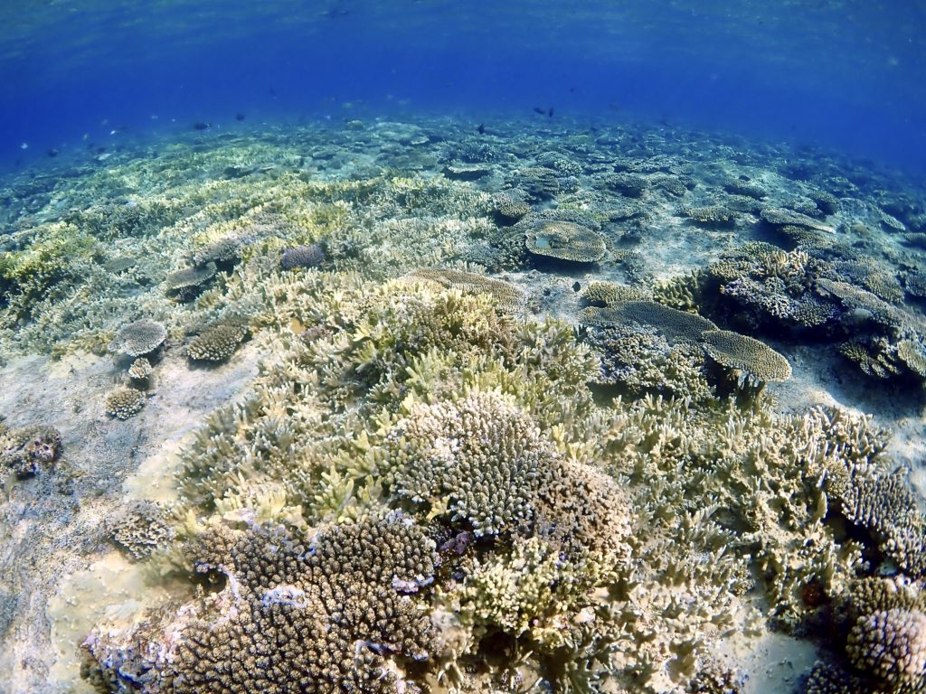 恩納ポイント　恩納村