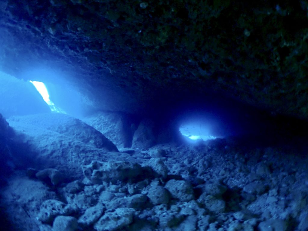 残波岬 ファンダイビング