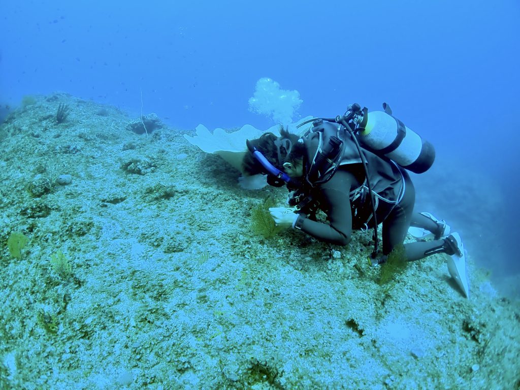 残波岬 ファンダイビング
