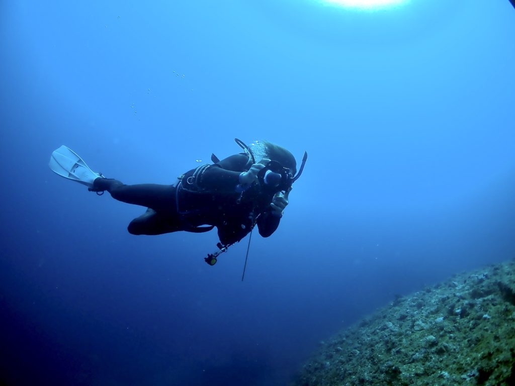 バディ ダイビング