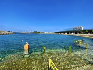 波の上緑地 ファンダイビング