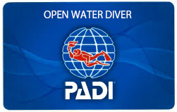 PADI オープン・ウォーター