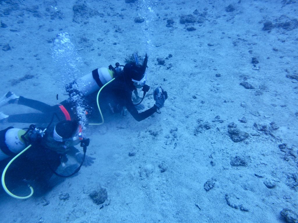 デジタル・アンダーウォーター・イメージング 沖縄