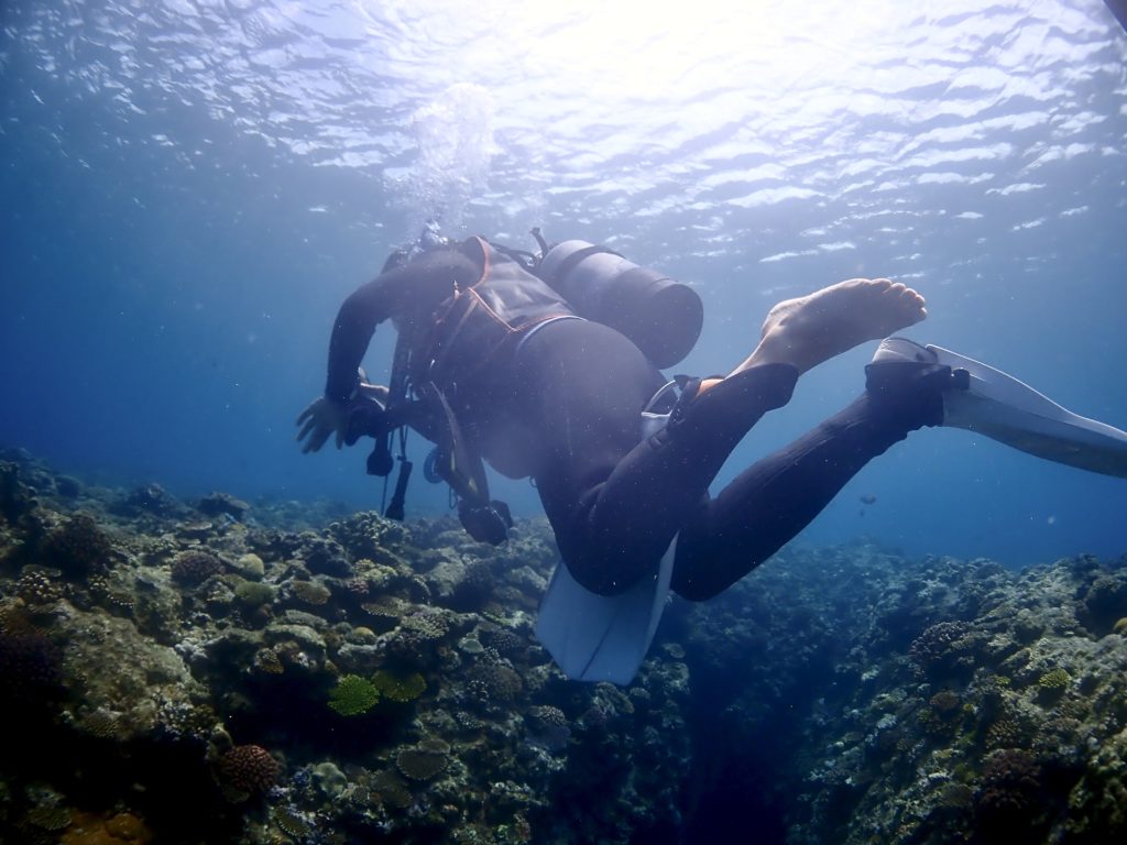 バディ　インストラクター