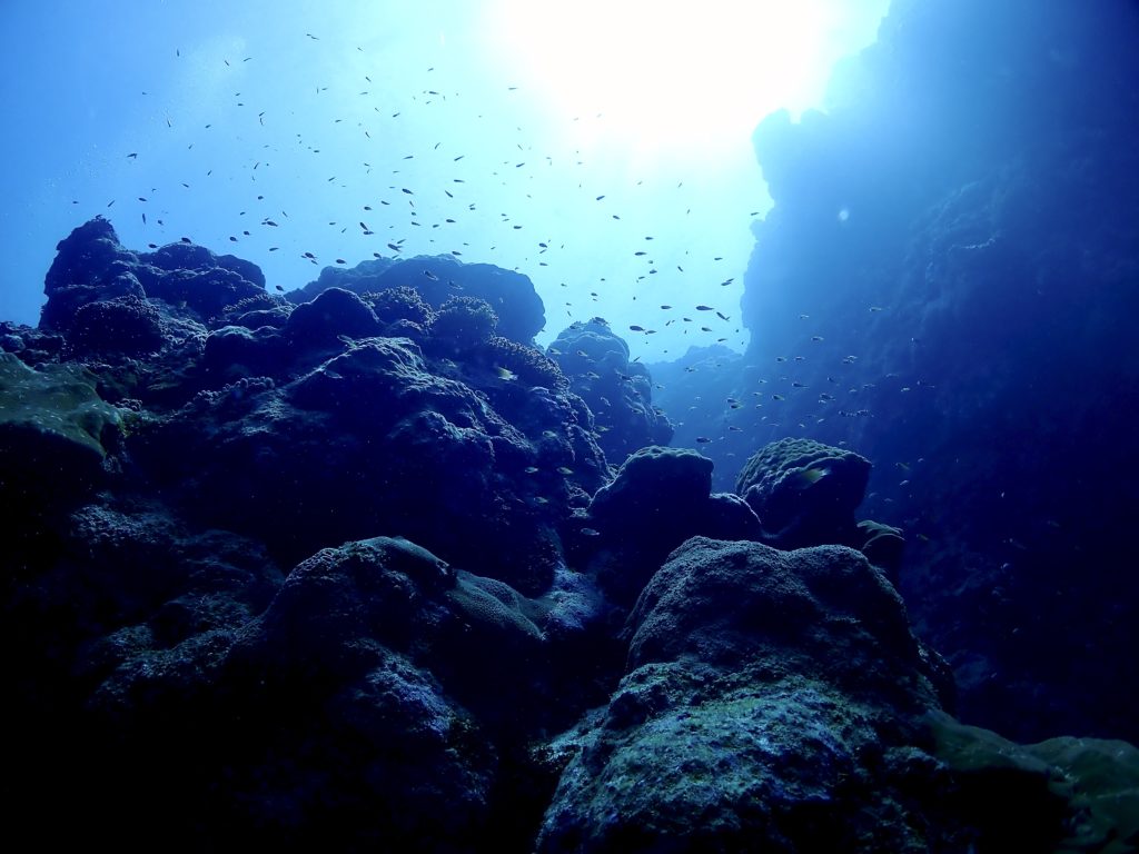 沖縄　南部　ファンダイビング