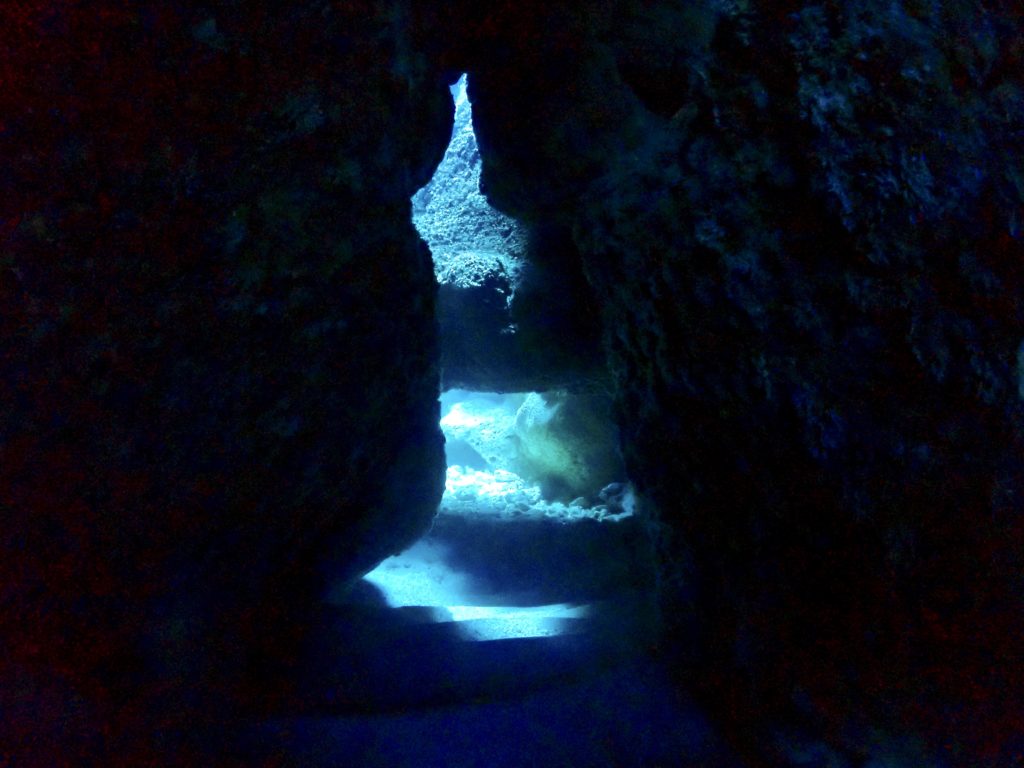 沖縄　南部　ファンダイビング