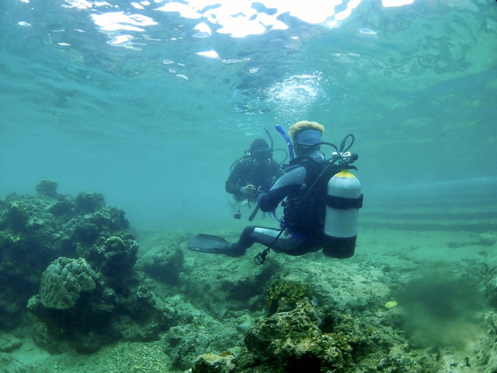 沖縄 ダイブマスター講習