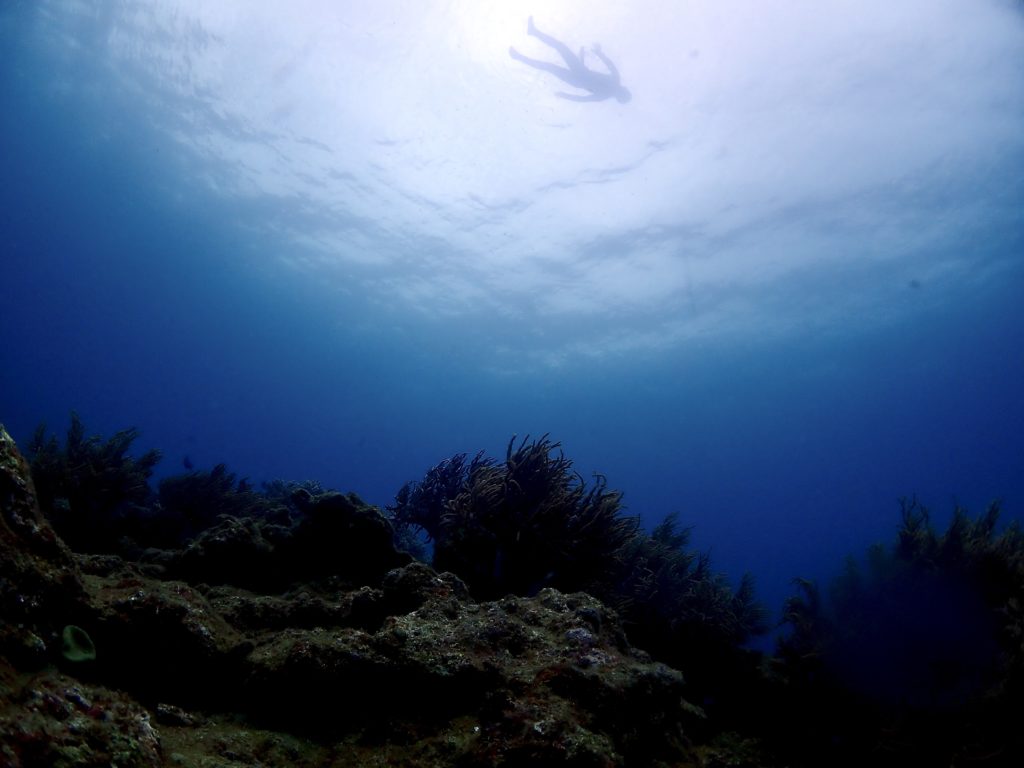 沖縄 ダイビングライセンス取得