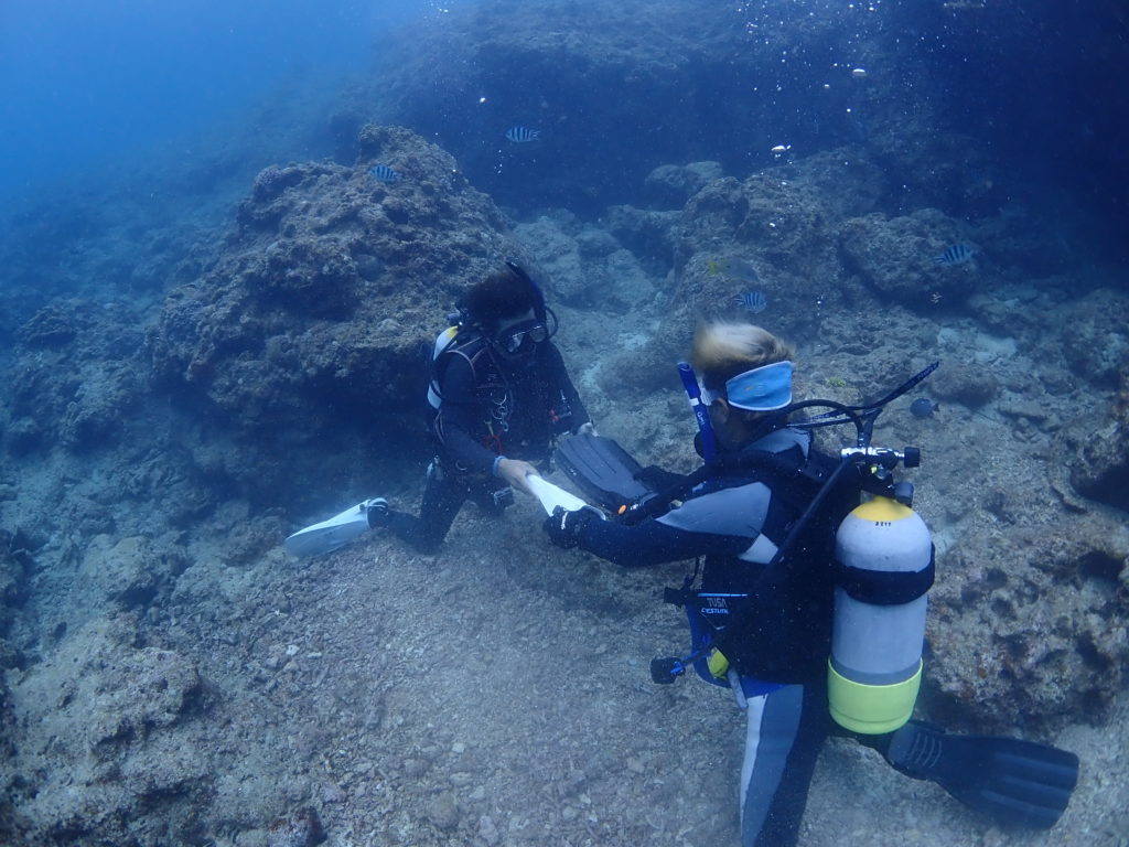 沖縄 ダイビングライセンス講習