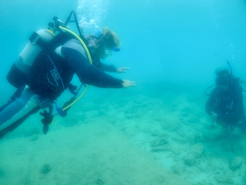 ダイブマスター講習 沖縄