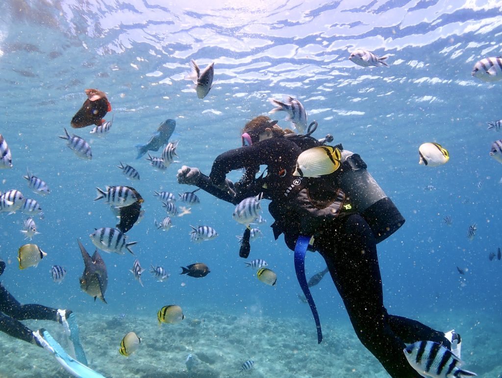 ナビゲーション アドバンス講習