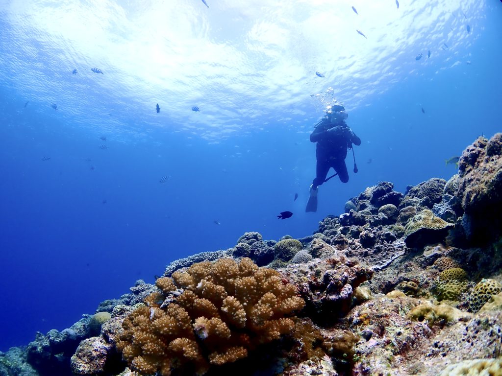 アンダーウォーターフォトグラフィ アドバンス講習