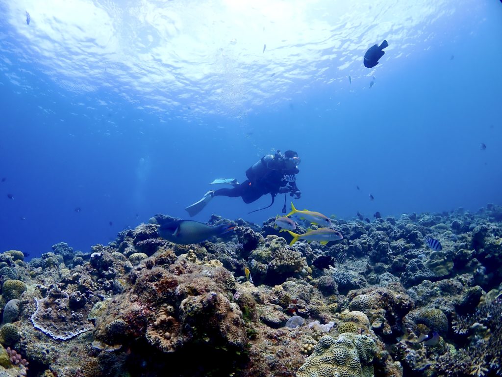 PPB アドバンス講習