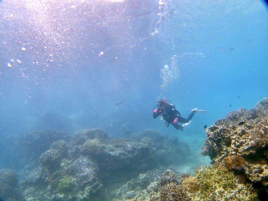 ダイビングライセンスコース 沖縄