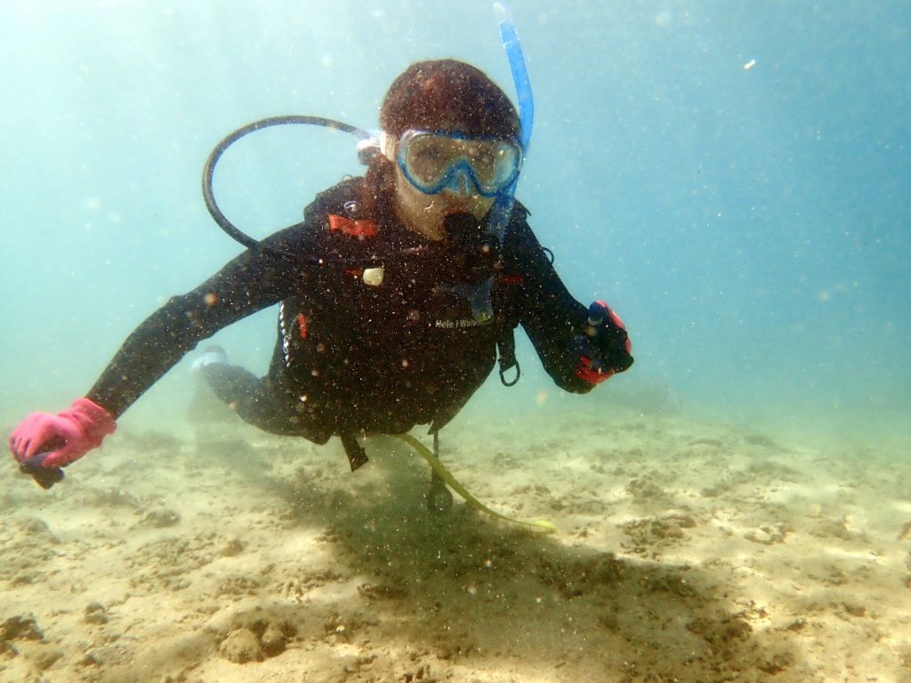 沖縄 オープンウォーター講習