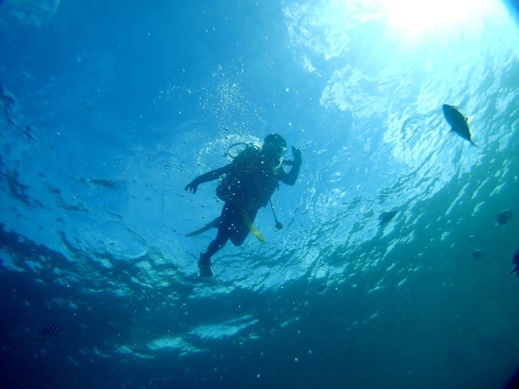 沖縄　ダイビングライセンス