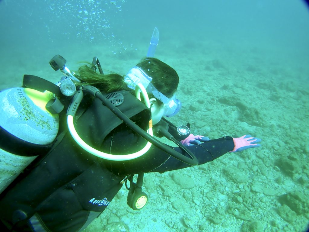 砂辺　ダイビングライセンス