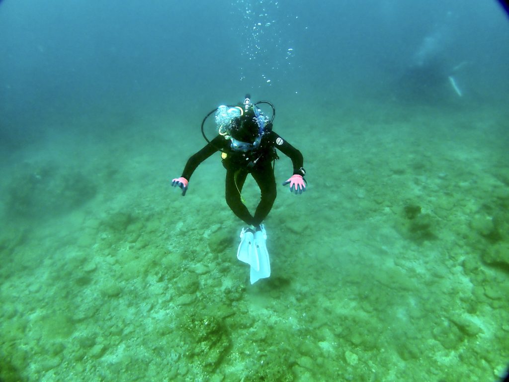 砂辺　ダイビングライセンス