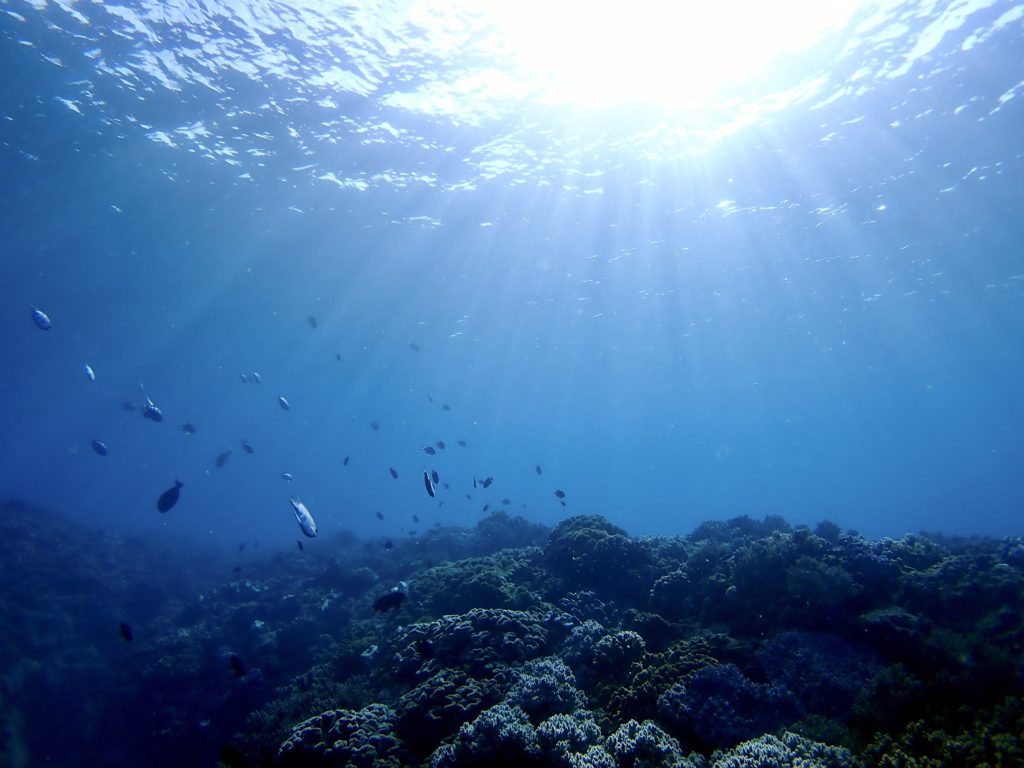 砂辺　カリフォルニアサイド