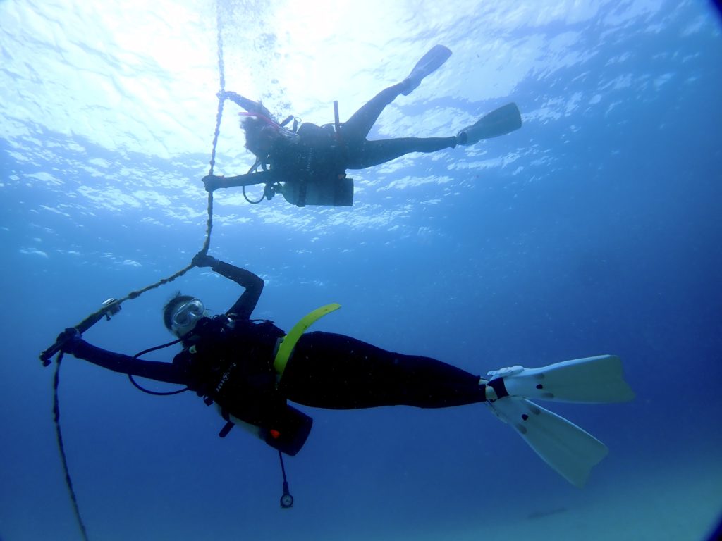 沖縄　ファンダイビング
