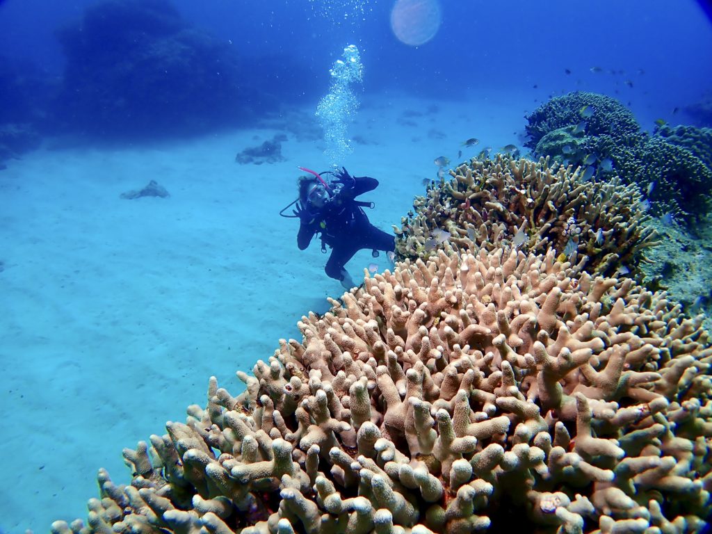 女性ダイバー　ファンダイビング