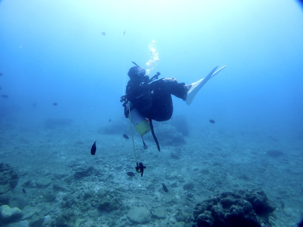 沖縄 ダイビングライセンス講習