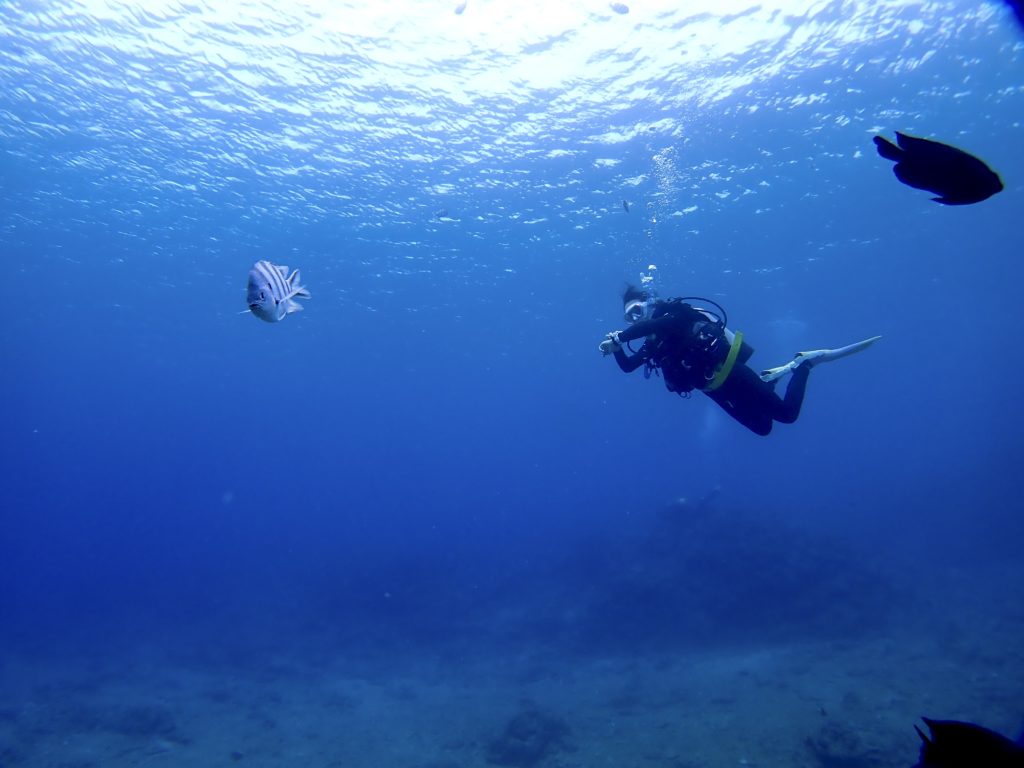 沖縄 レスキューダイバー講習