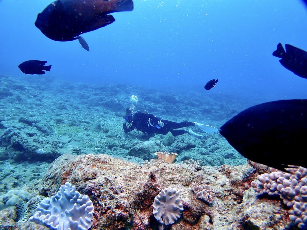 沖縄 レスキューダイバー講習