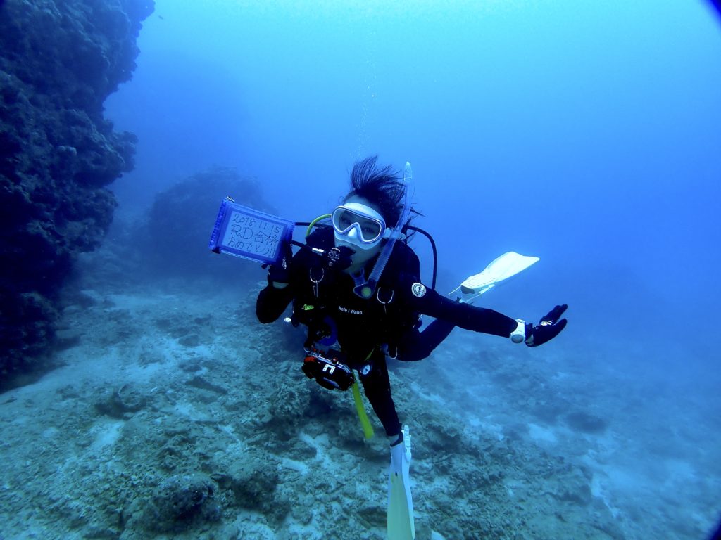 砂辺 ファンダイビング