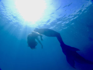 PADI スキンダイバー講習