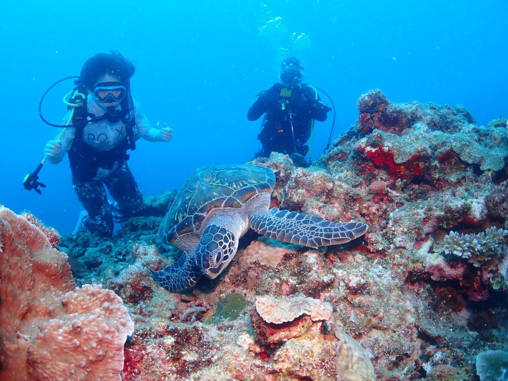 恩納村　ファンダイビング