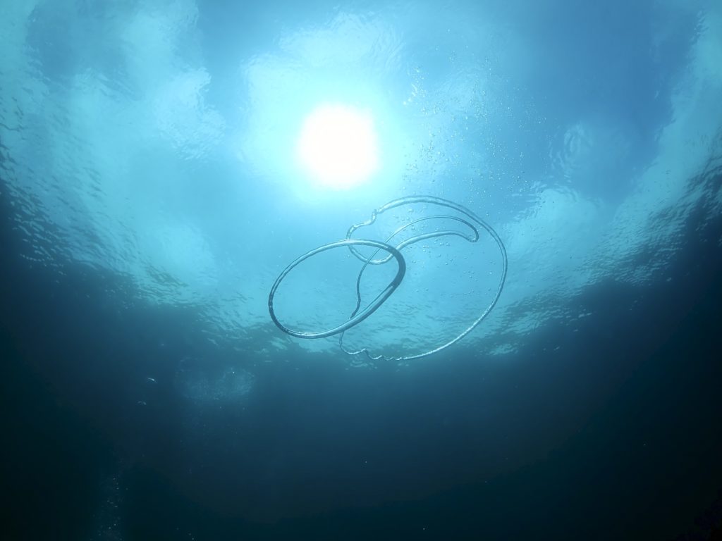 恩納村　バブルリング