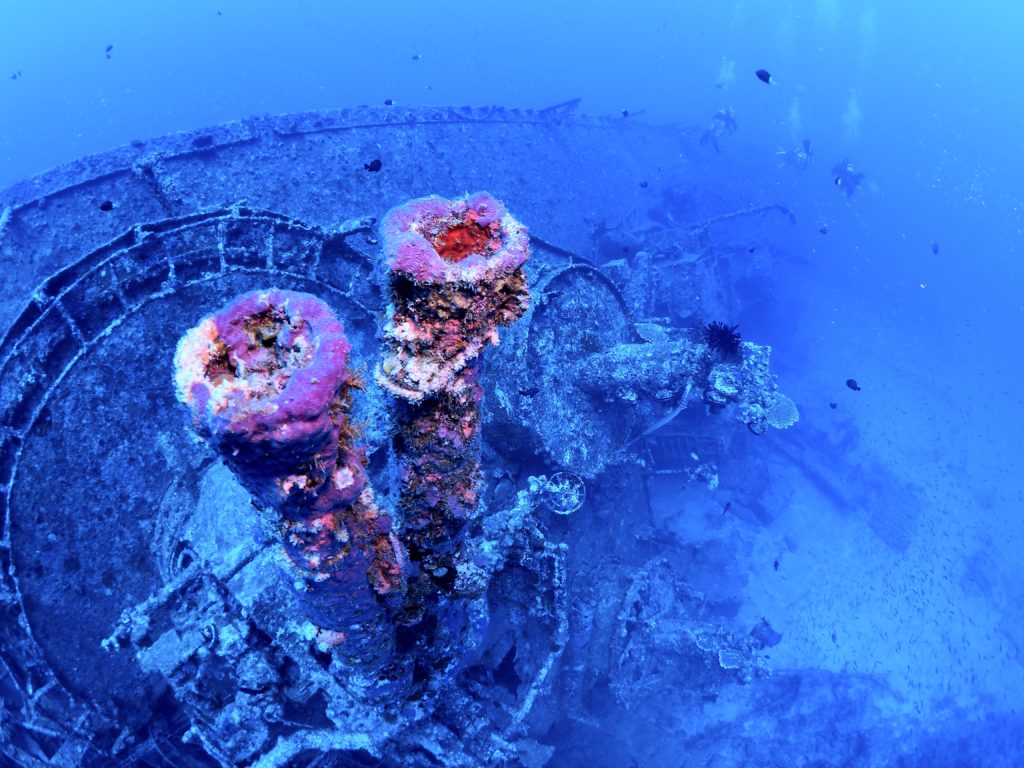 エモンズ ダイビング