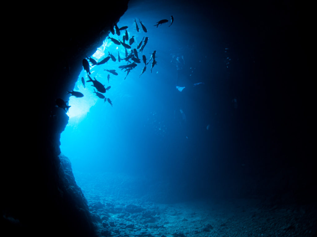 青の洞窟 ファンダイビング