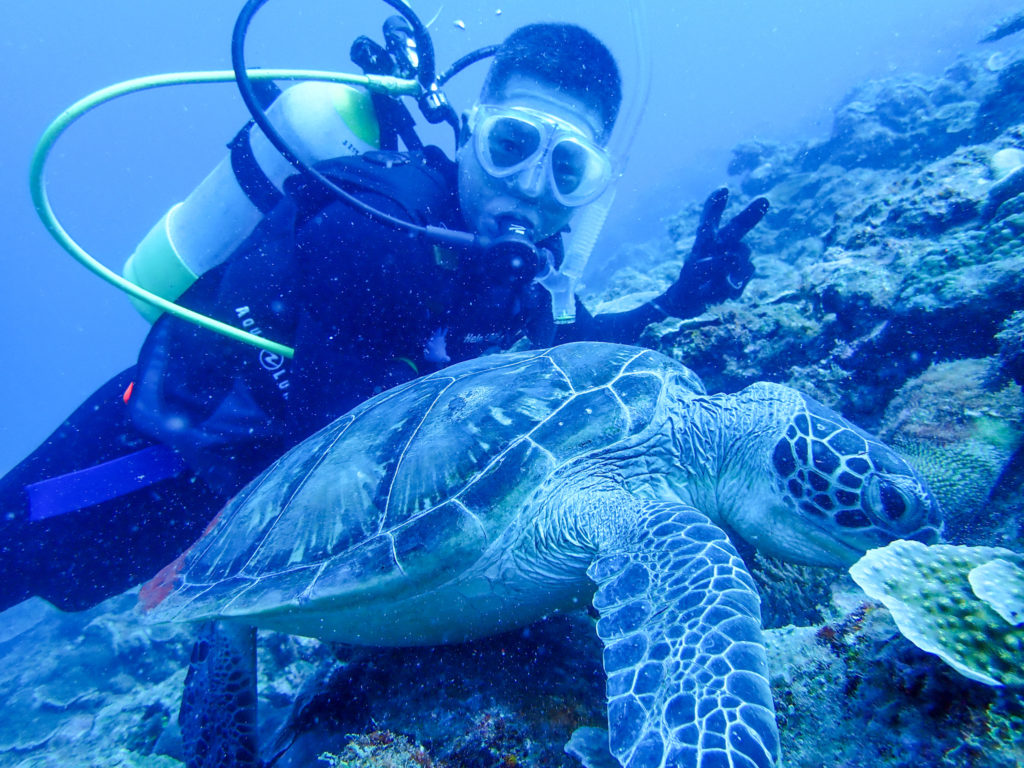沖縄 ウミガメ