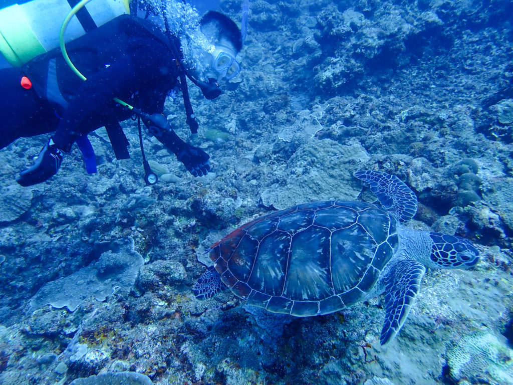 恩納村 ファンダイビング