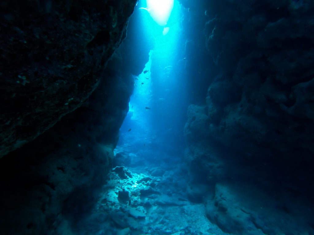 瀬底島　ファンダイビング