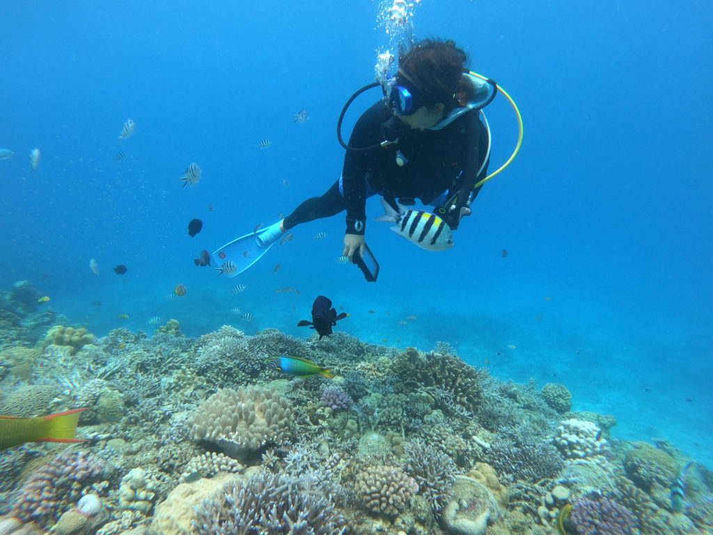 水納島　ファンダイビング