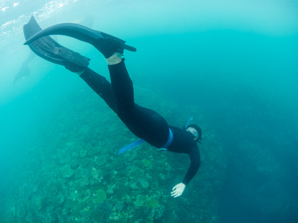 貸し切り スキンダイビング