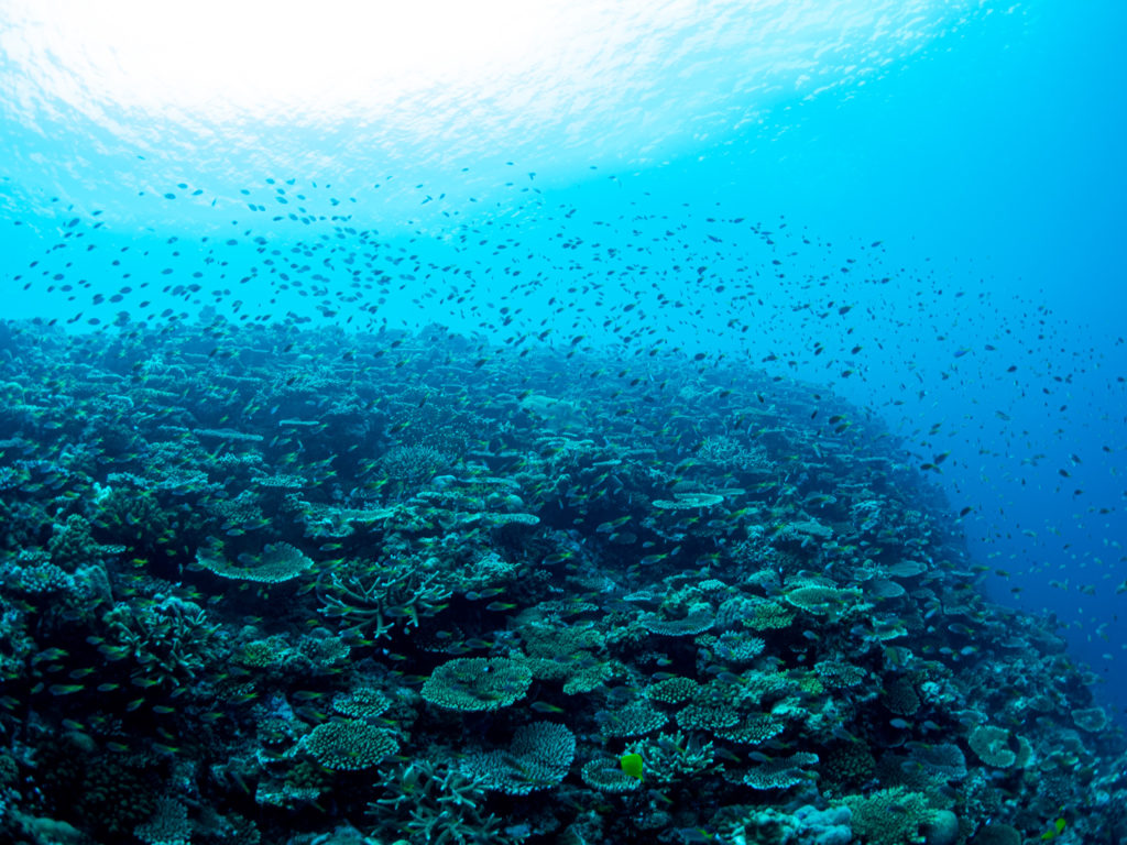 恩納村 恩納ポイント